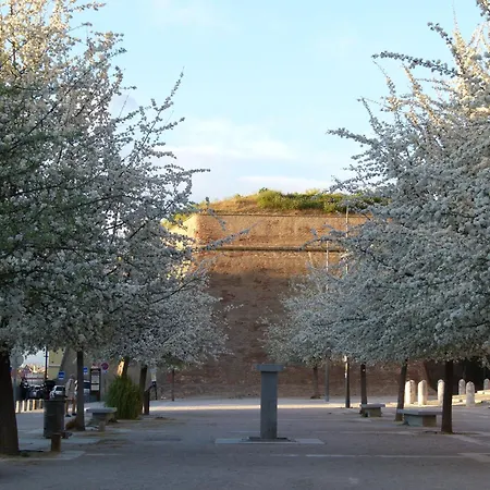 Au Palais Des Rois De Majorque Perpignan